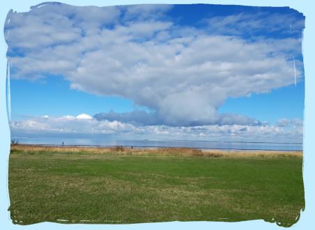 SJ_1Meike Strand Wiese